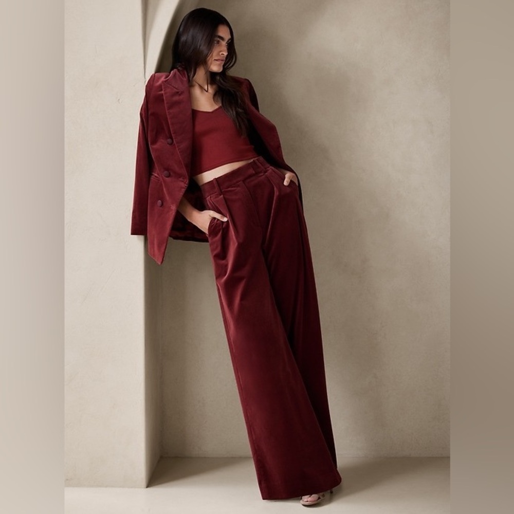 Banana Republic Veluro Relaxed Velvet Pants